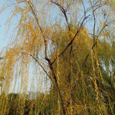 深秋的一场出行⊙▽⊙