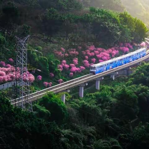 南曲•羽衣第二叠