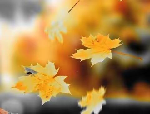 南曲•梧叶墜罗袍