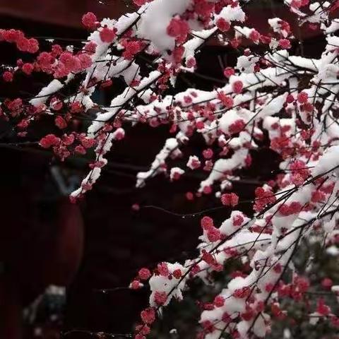 南曲•风入三松