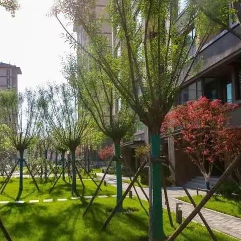 未来之城——雄安