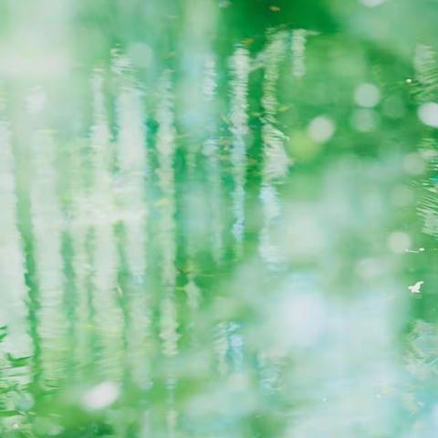 种下一颗好的种子