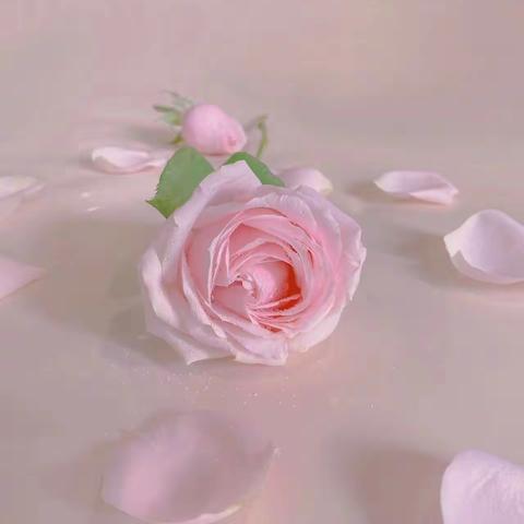 金钱关系也要维护 day503