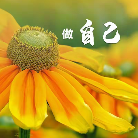 感恩日记第46天