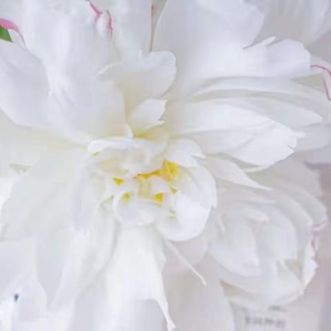 旁观有关金钱咨询