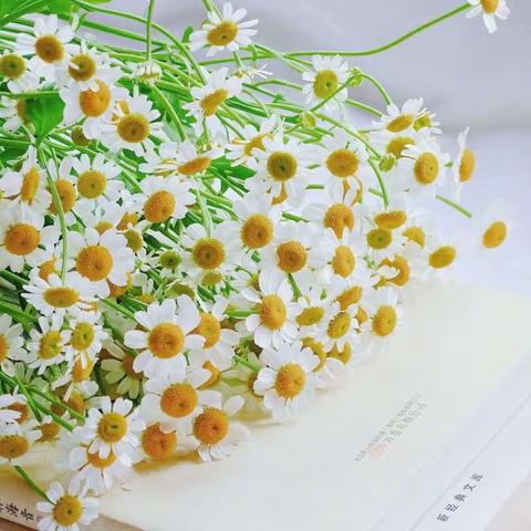 在日记星球养成自律的习惯