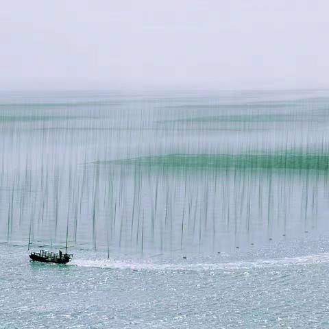 家长做好微改变，让教育无处不在