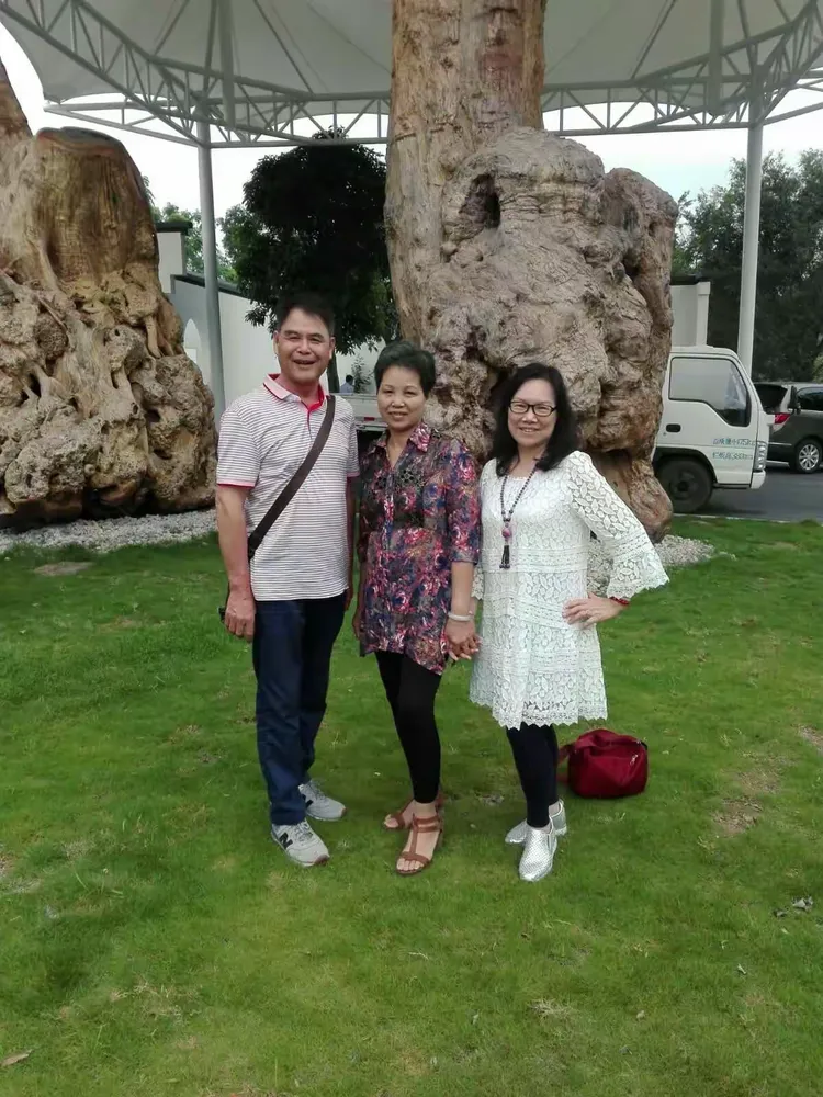 包含大三巴一肖一特一中2023年最新版本的词条