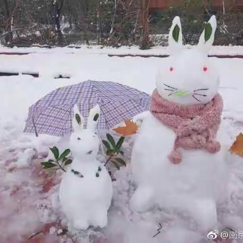 雪人的世界我不懂