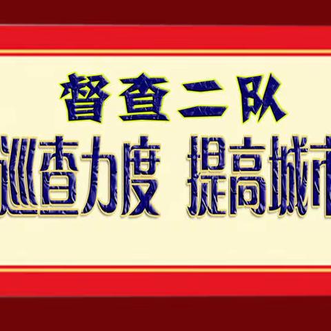 节前加大巡查力度 提高城市管理水平