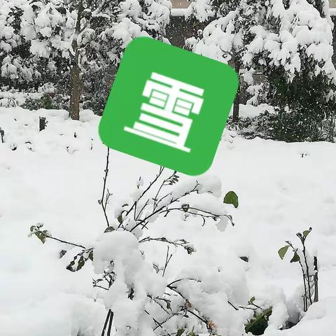 《雪》