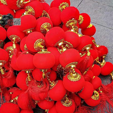 红红火火迎元旦