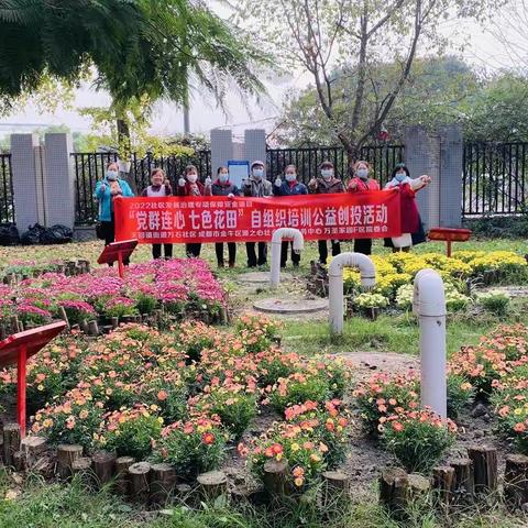 万石社区  党群连心·七色花田—那曾经的花海回来了