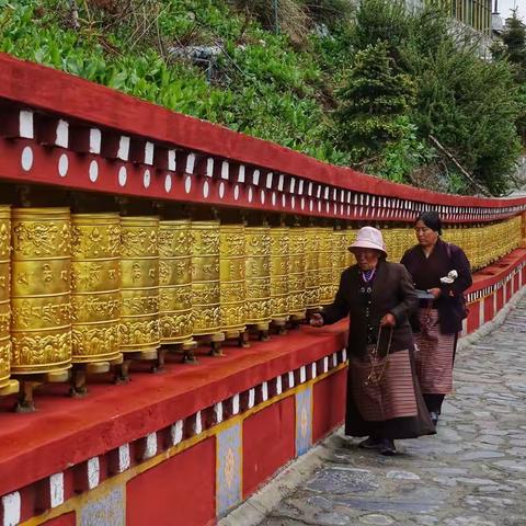 青藏魂牵梦萦的远方