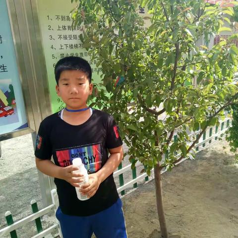 我与小树共成长，树木认养活动。