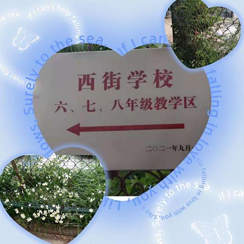 最美的遇见从这里开始——城关镇西街学校七八年级返校掠影