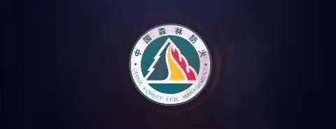 陕州区森防办积极组织队伍参加全市“崤函应急·2022”森林火灾应急救援综合实战演练