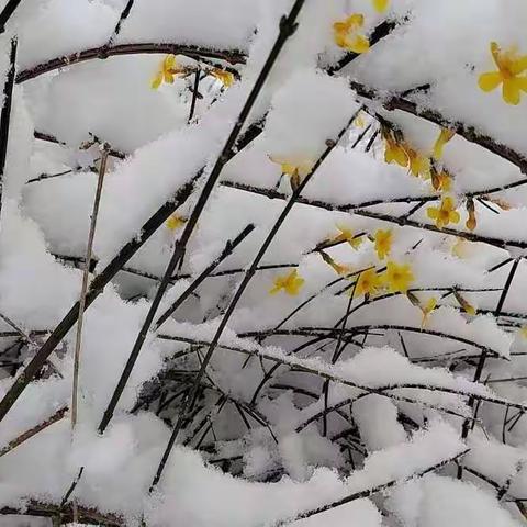 青坨营中学线上教学（第一周）