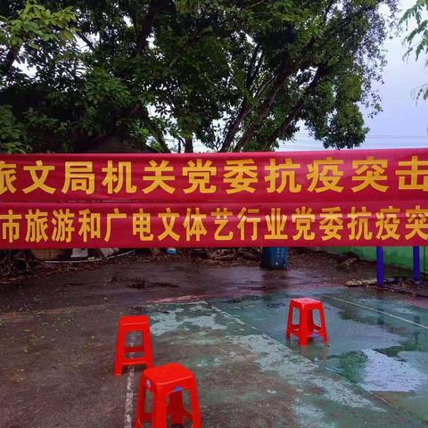 儋州市旅游和广电文体艺行业党委抗疫突击队助力那恁社区开展全员核酸检测工作