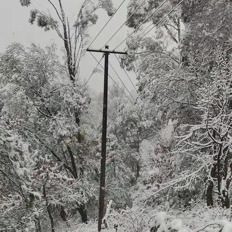 【最美一线员工】雪中巡线保供电