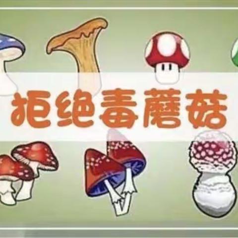 徐家井小学：珍爱生命，拒绝野生毒蘑菇