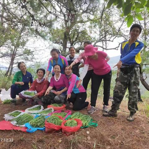 爬山记之33：出水处之山韭菜饺子