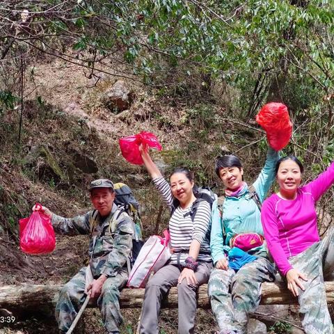 爬山记之30：石头河寻花记