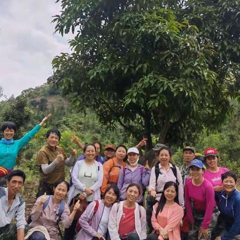 爬山记之22：来冷后山寻山韭菜包饺子