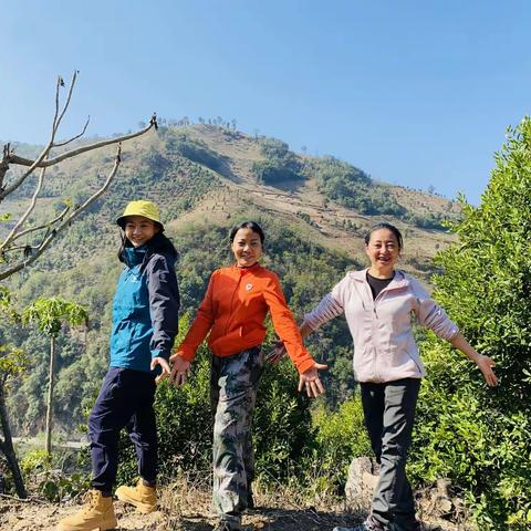 爬山记之27：四进“知了寨”