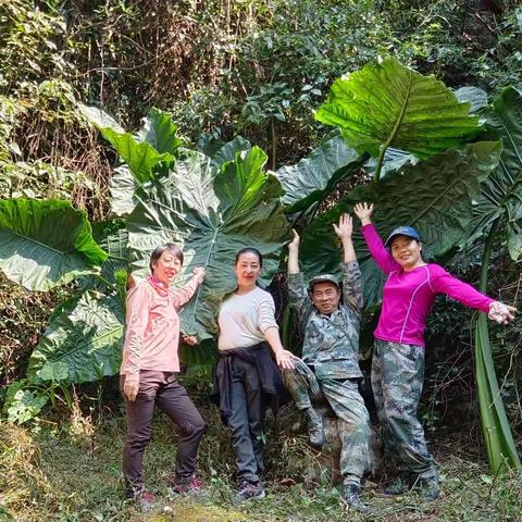 爬山记之28：出水处至小干箐