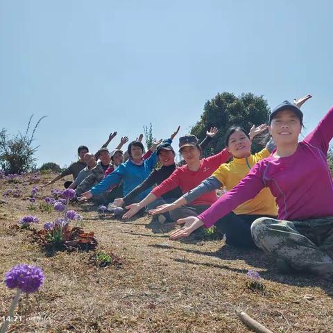 爬山记之29：一年一度勐托报春花