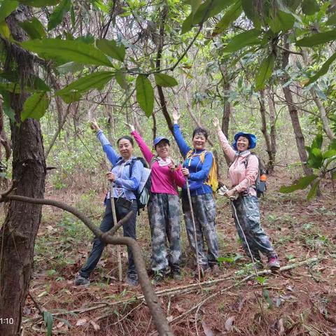 爬山记之32:来冷后山寻山韭菜