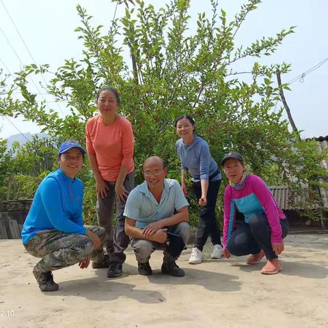 爬山记之31：五进“知了寨”😂