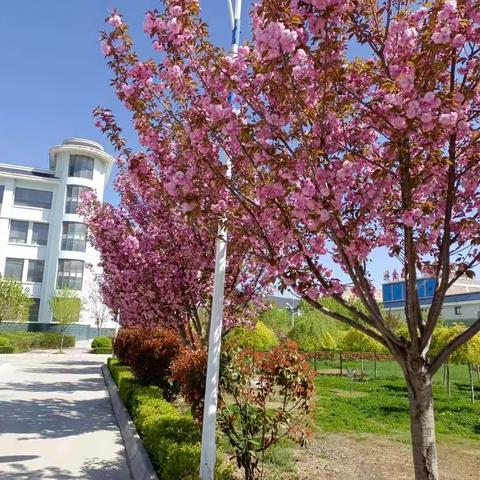 天道酬勤 力耕不欺——高一级第二学期第二月工作纪实