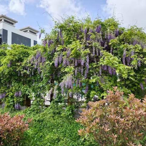 和风化雨润心田——记高一十二班家访活动
