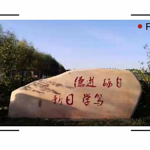 集思广益巧设计，作业变身有意义