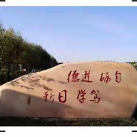 引领共提升       一起向未来