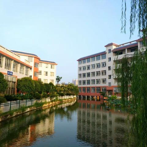 开学的我们（三2班小蜜蜂中队）
