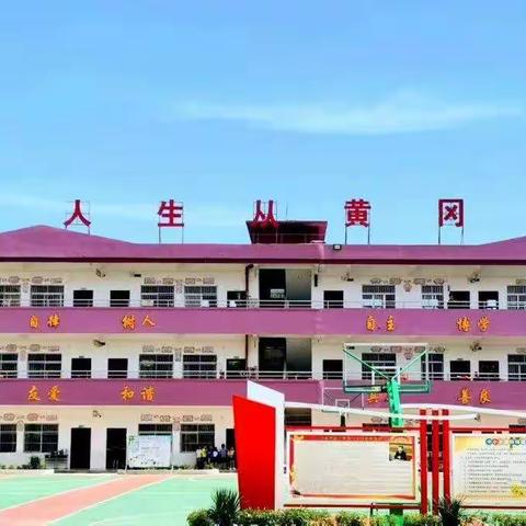 不负春日好时光——记孩子们的校园生活