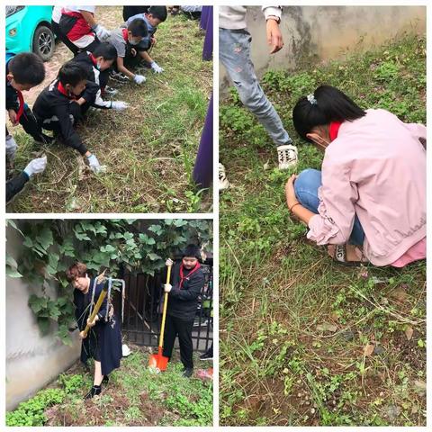 “绿色菜园我来种，绿植认养我负责”——卫东区明珠世纪小学自然之光劳技社团纪实