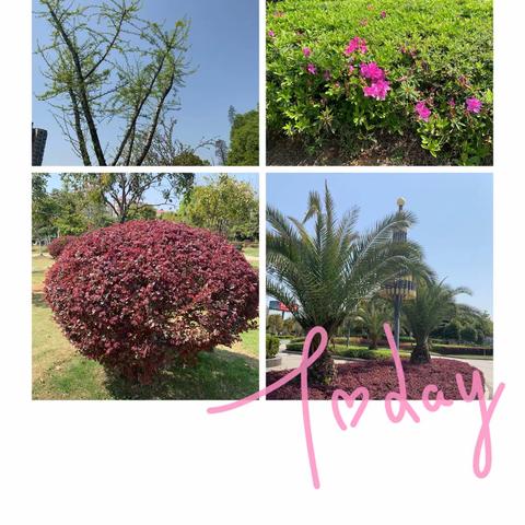 “畅享春游，融入自然”快乐幼儿园春游活动