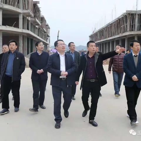 徐树斌调研美丽集镇建设工作