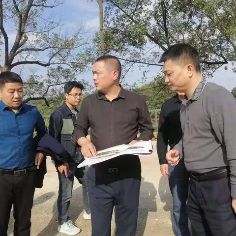 联合督导  加快美丽集镇建设工作步伐