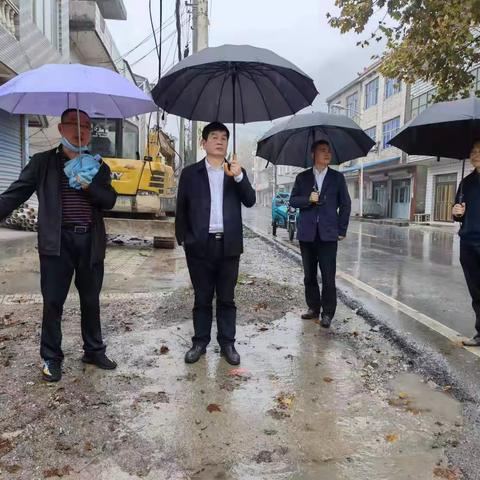 县人大调研美丽集镇建设工作