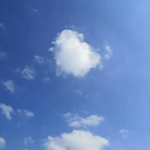 【晨曦班】拼搏改变命运，奋斗成就梦想