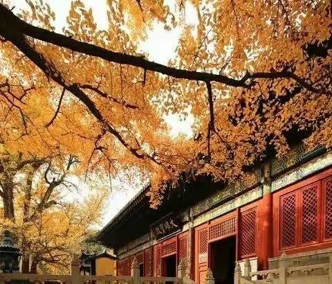 所谓教养，就是会在细节里出卖                                         你的东西