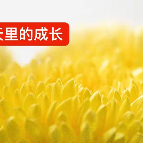 共话“双减”  “语”你同行——六年级语文实践性作业：秋天里的成长