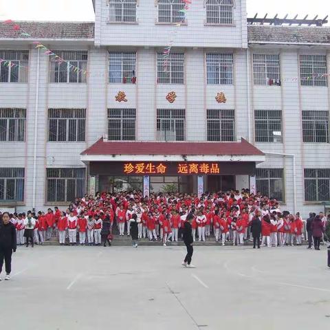 远离毒品，不负青春——花溪第三中学禁毒教育宣传