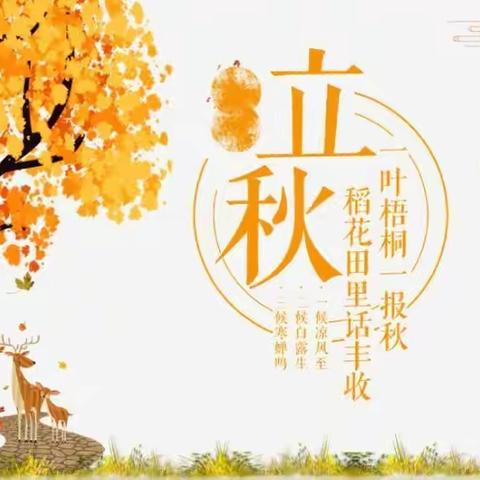 【一叶落而知秋】——小务幼儿园“立秋”主题半日活动美篇🌿🍀🌱🍃🌾☘️