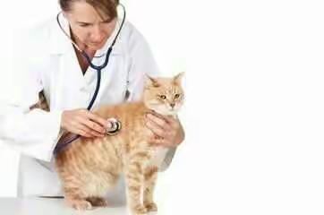 科学养殖宠物小常识